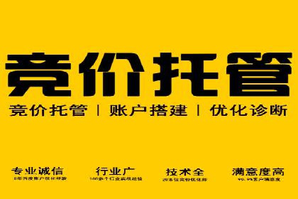 SEM竞价托管：精准定位案例解析
